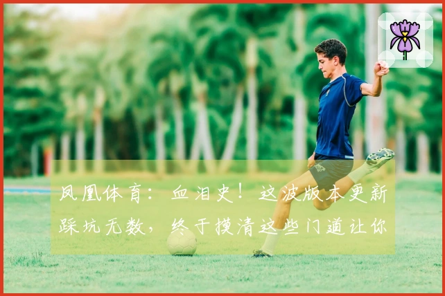 凤凰体育：血泪史！这波版本更新踩坑无数，终于摸清这些门道让你少走弯路