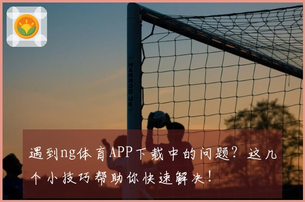 遇到ng体育APP下载中的问题？这几个小技巧帮助你快速解决！