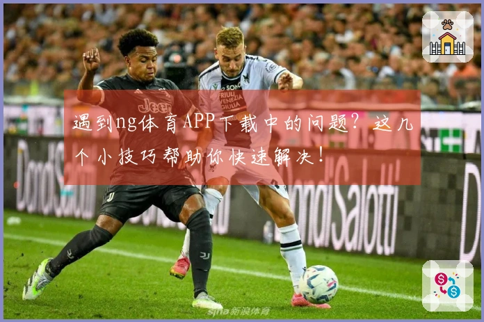 遇到ng体育APP下载中的问题？这几个小技巧帮助你快速解决！