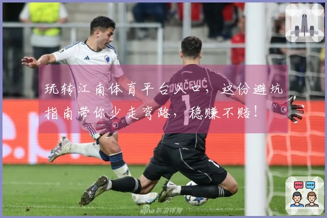 玩转江南体育平台入口，这份避坑指南带你少走弯路，稳赚不赔！