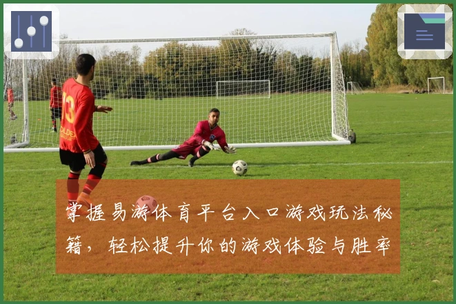 掌握易游体育平台入口游戏玩法秘籍，轻松提升你的游戏体验与胜率！